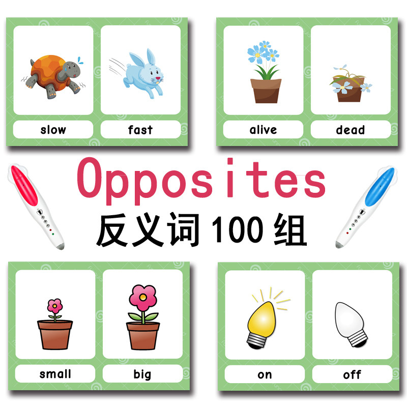 100 Kartu Flashcard Kata Bahas - Kids Toys And Games ulasan dan harga